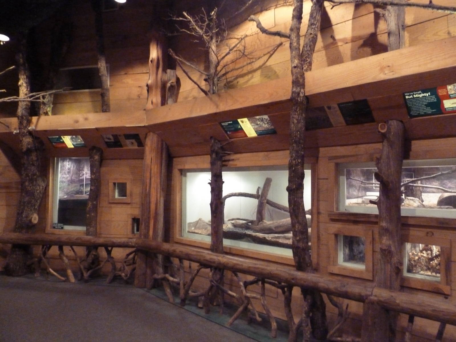 Mississippi Wilderness - Backyard Creatures Building