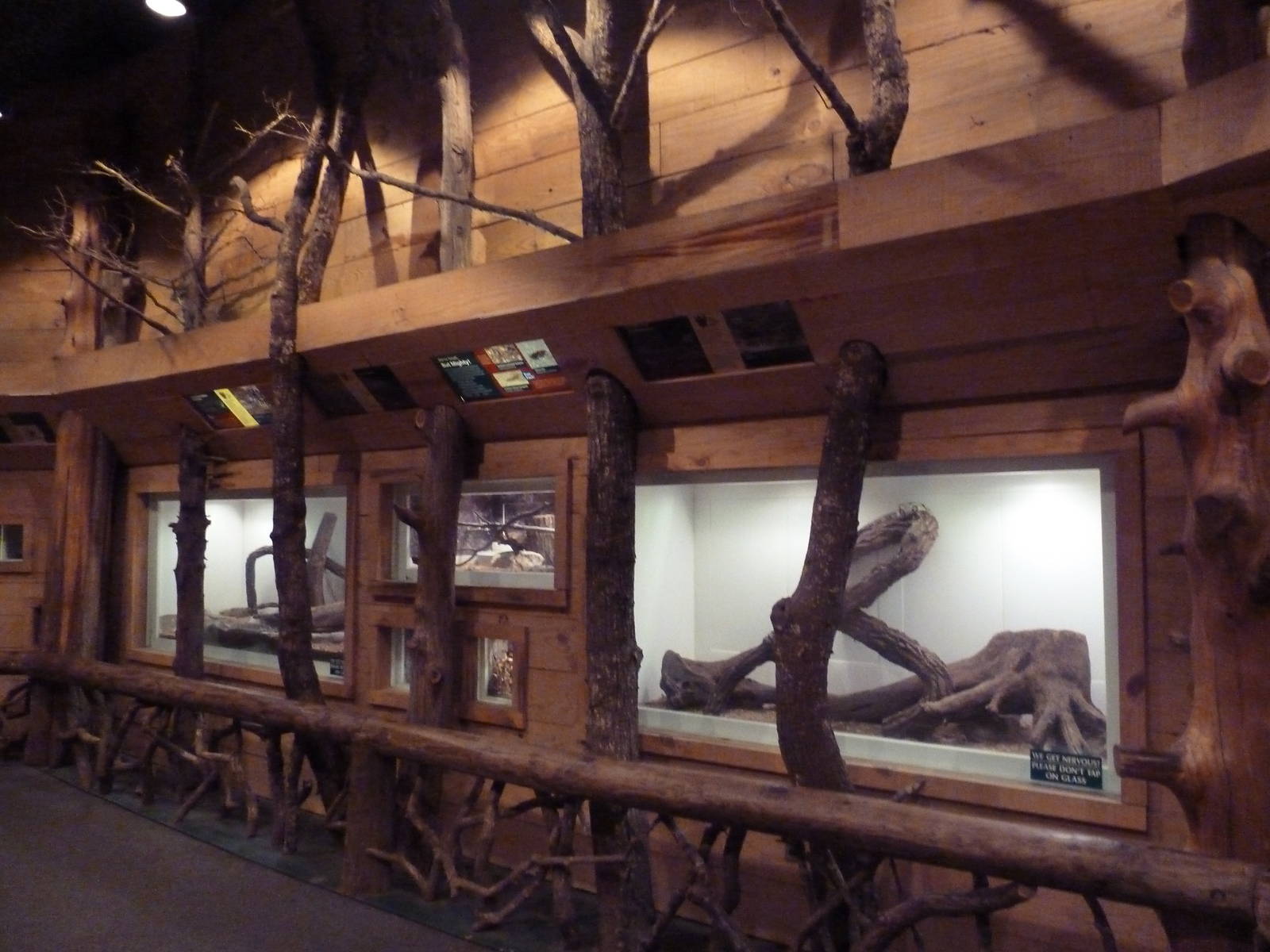 Mississippi Wilderness - Backyard Creatures Building