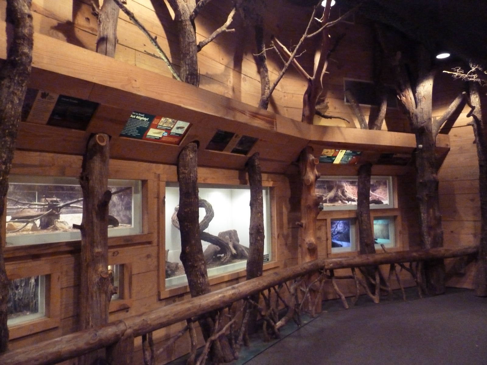 Mississippi Wilderness - Backyard Creatures Building