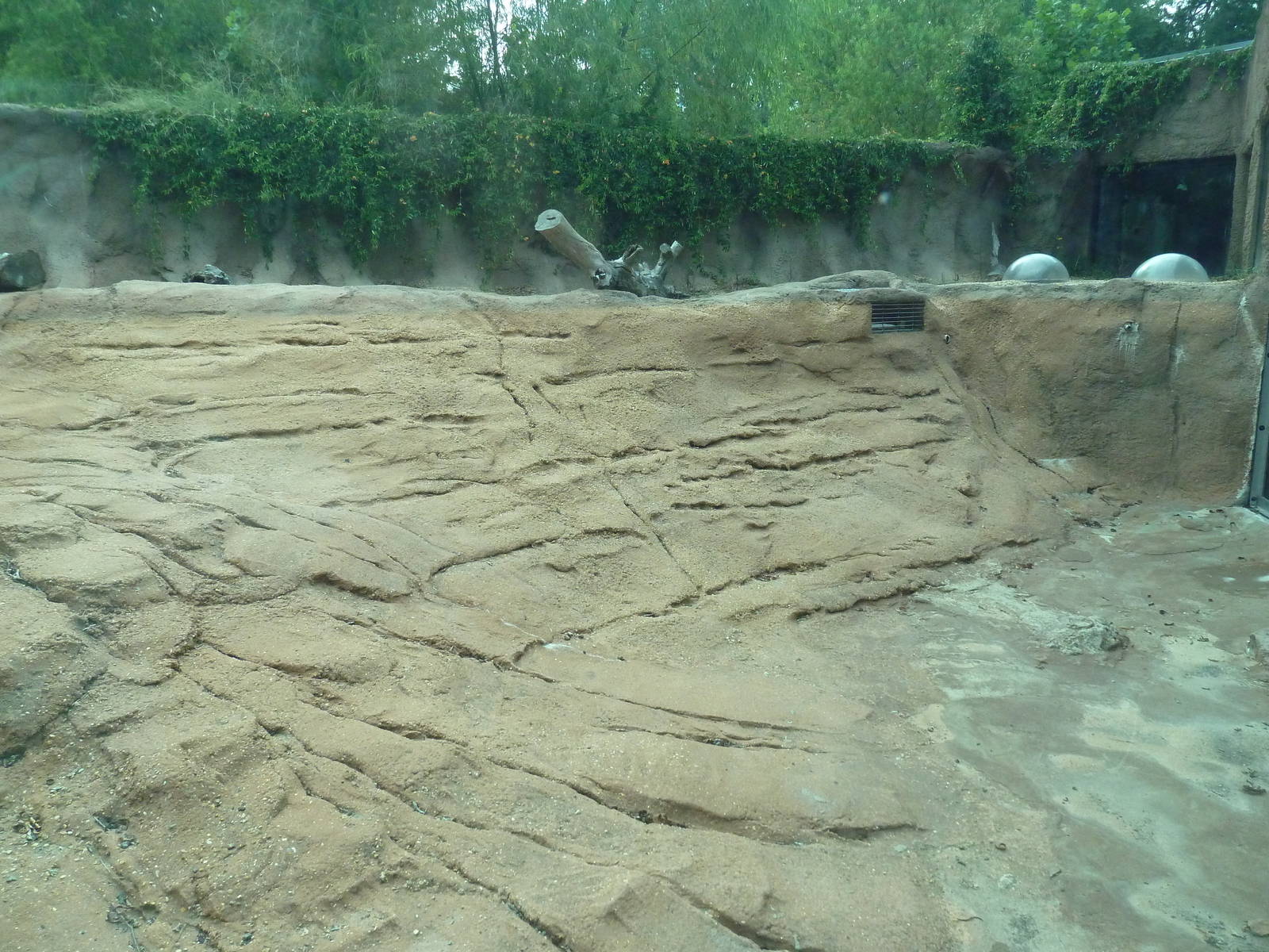 Mississippi Wilderness - Beaver Exhibit (temporarily drained of water)