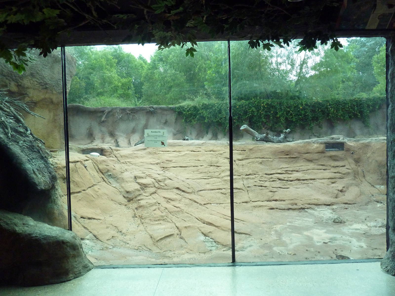 Mississippi Wilderness - Beaver Exhibit (temporarily drained of water)