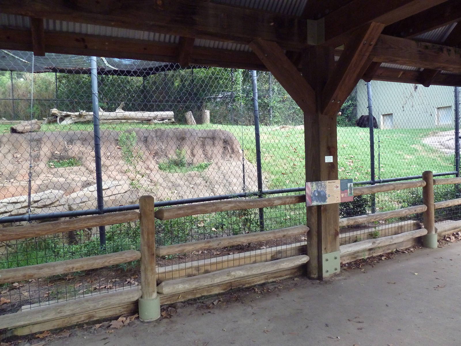 Mississippi Wilderness - Black Bear Exhibit