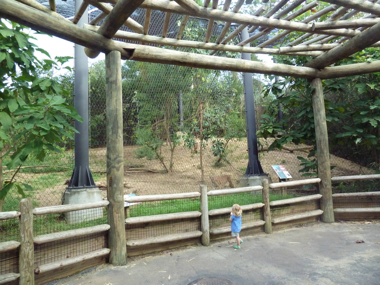 Mississippi Wilderness - Cougar Exhibit
