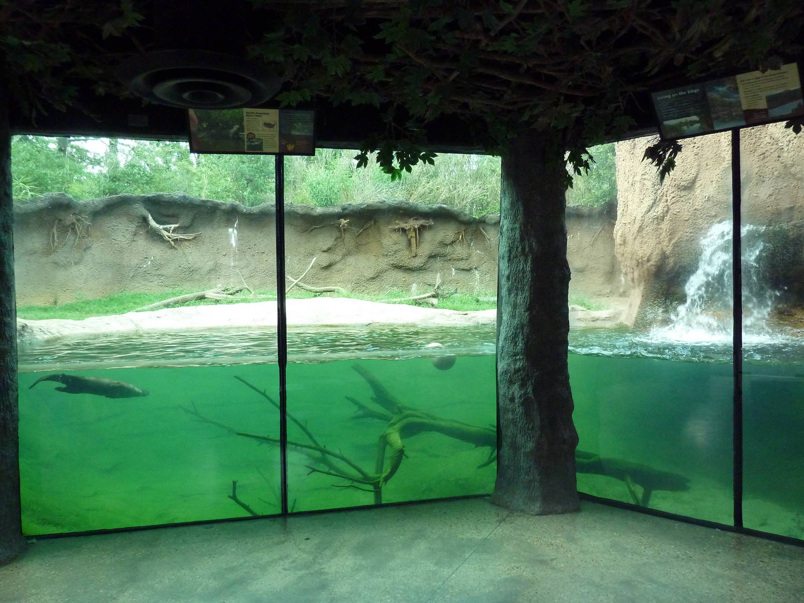 Mississippi Wilderness - River Otter Exhibit
