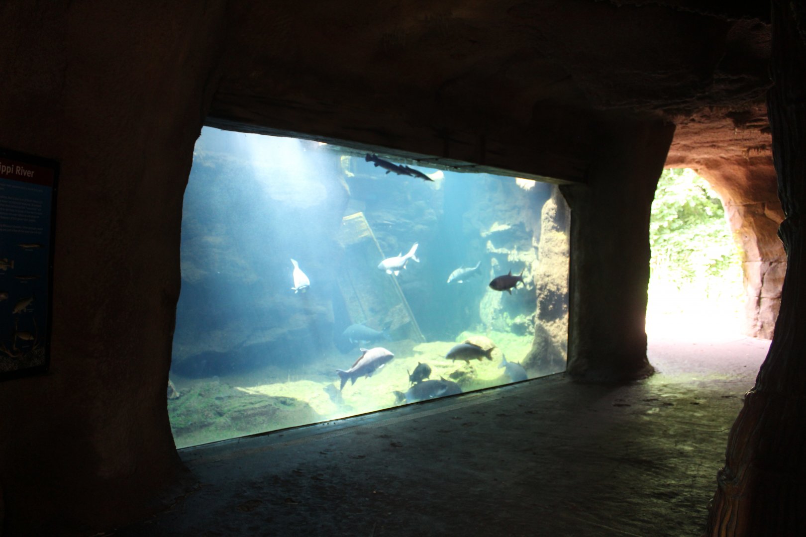 Missouri Fish Tank - Rivers Edge