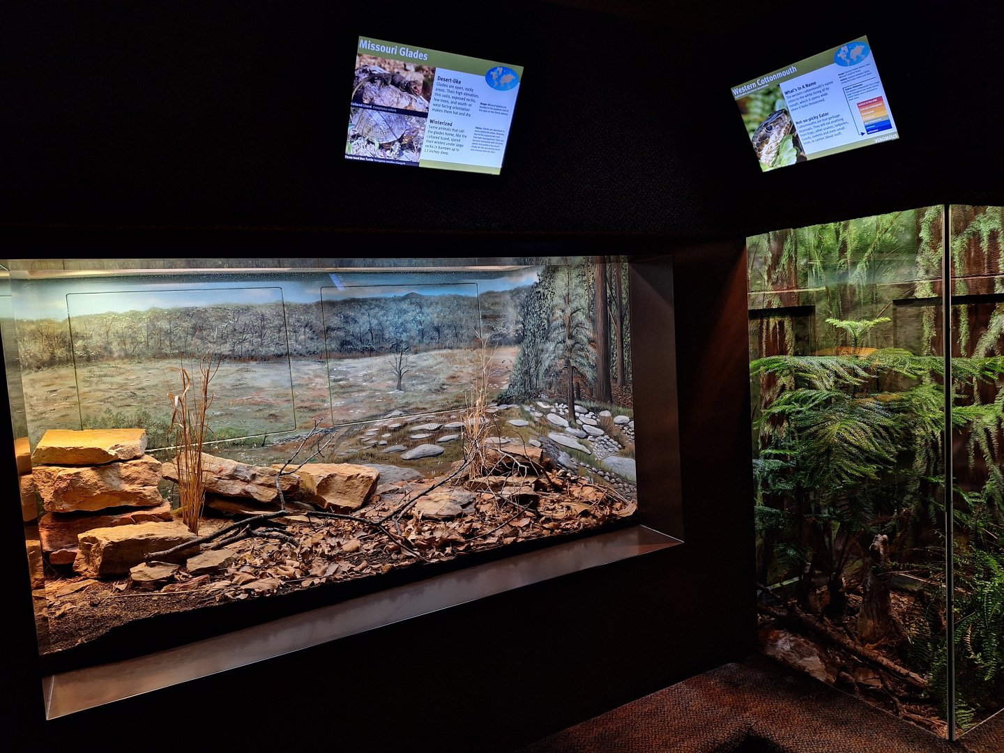 Missouri Glades and Western Cottonmouth enclosures