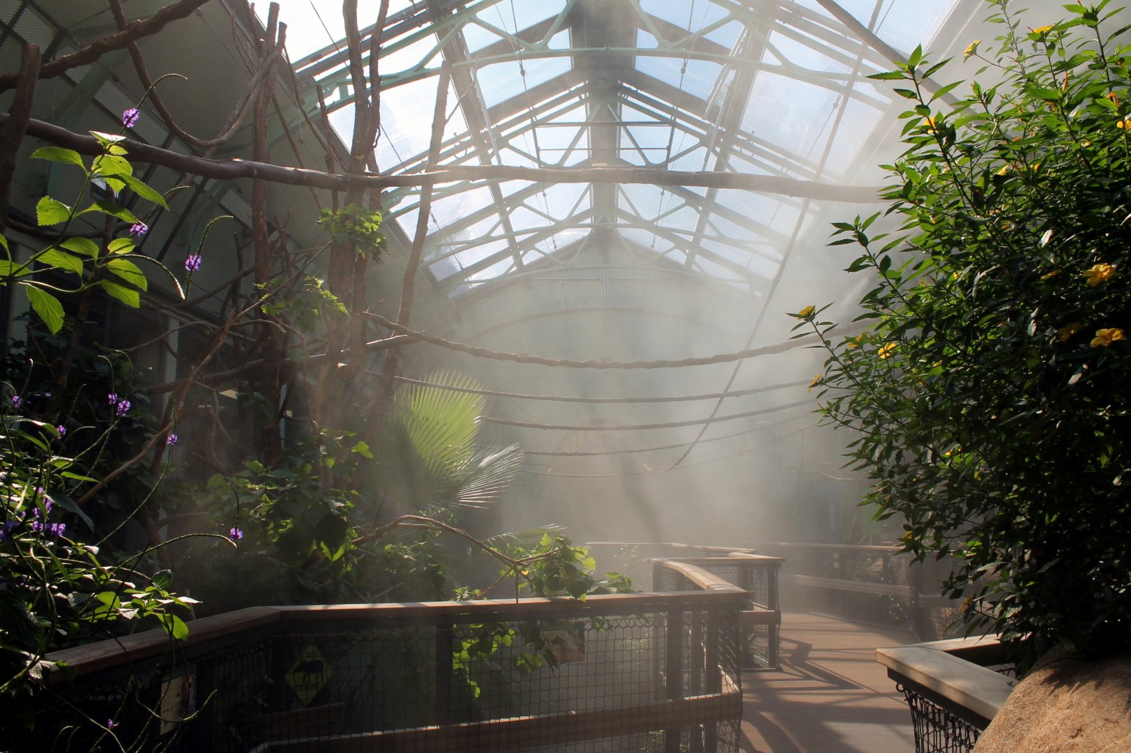 Mist in South America House
