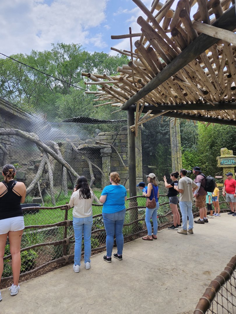 Mist, shade, patrons