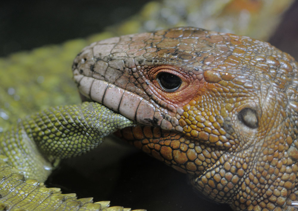 Mistaken identity can be painful