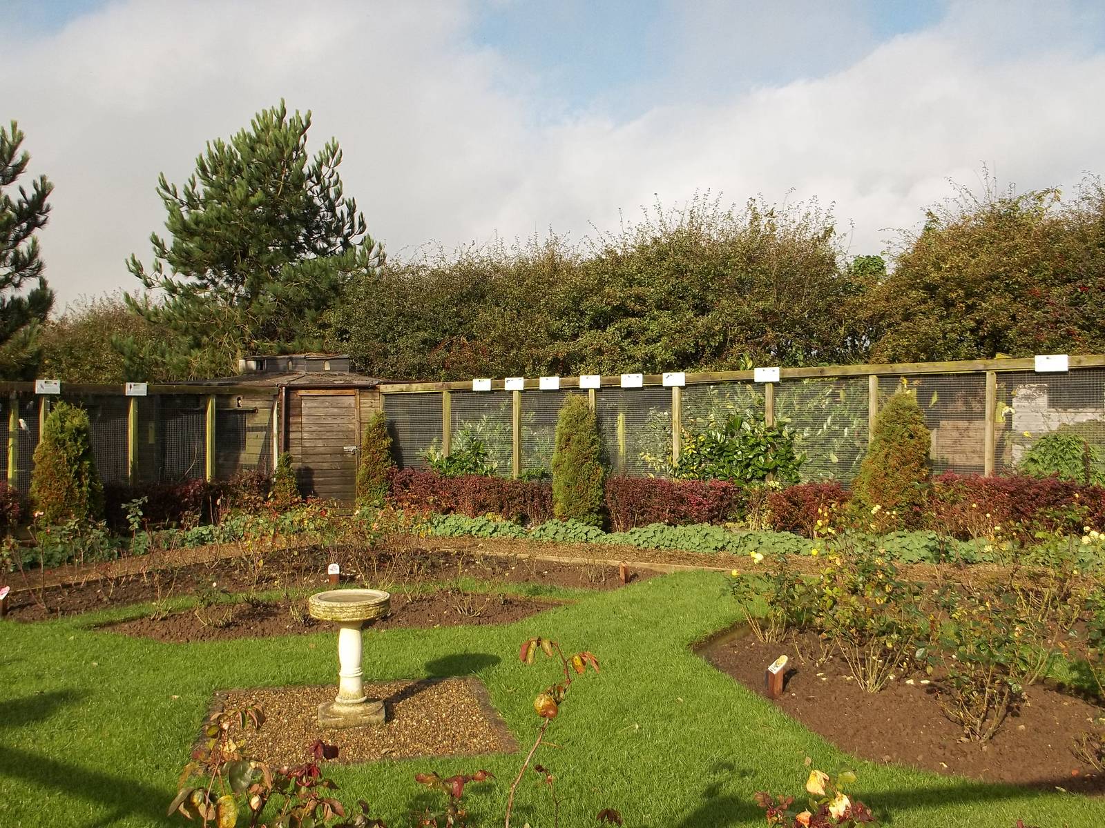 Mister Blue Sky puts in an appearance, 16th October 2014