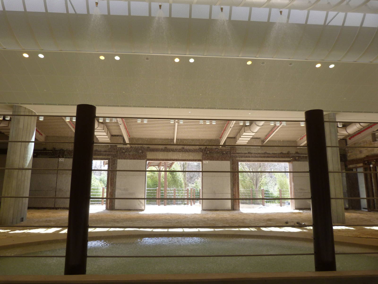 Misters in Elephant Pool