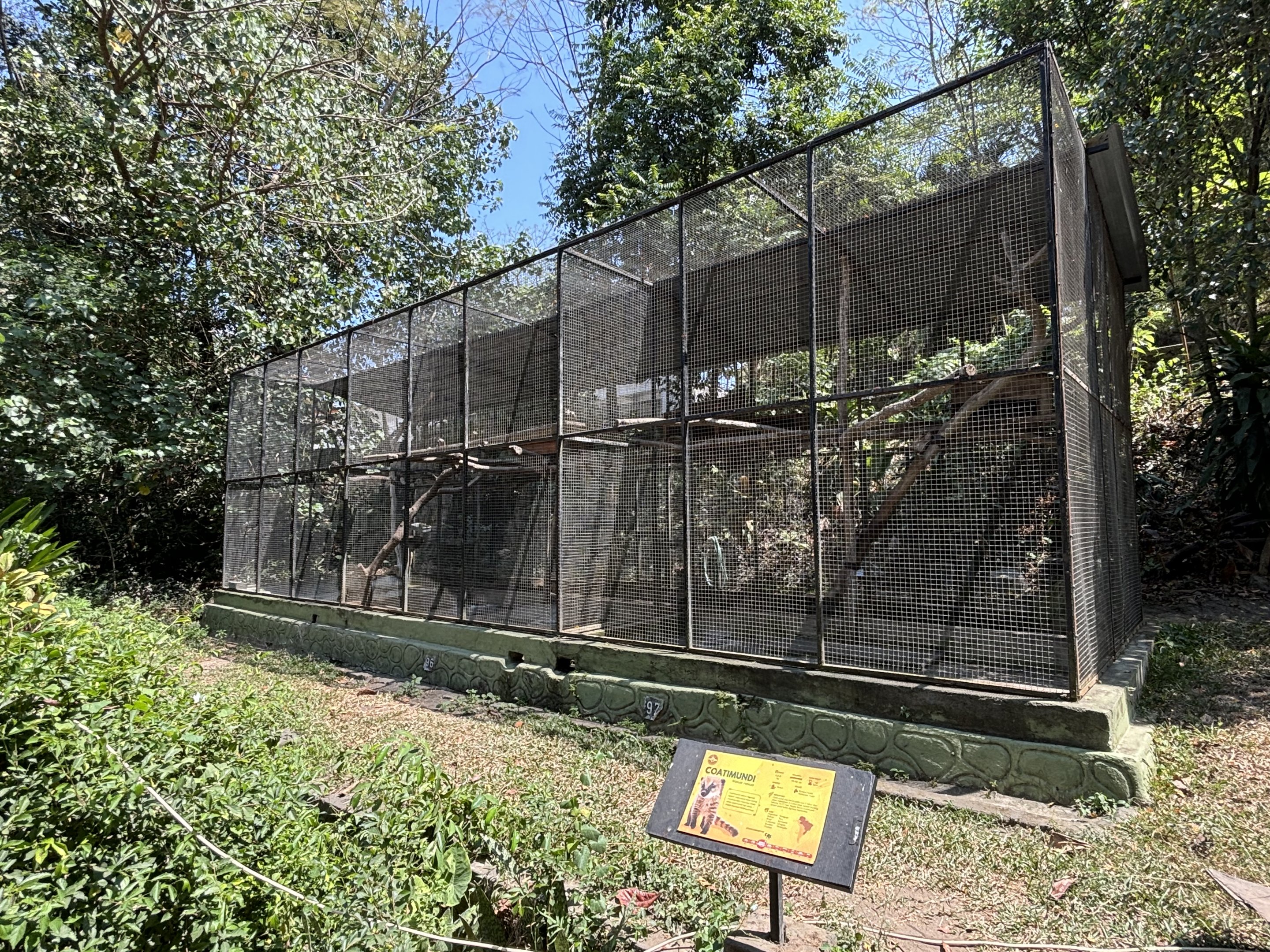 Mitered Surili + Coati Exhibits