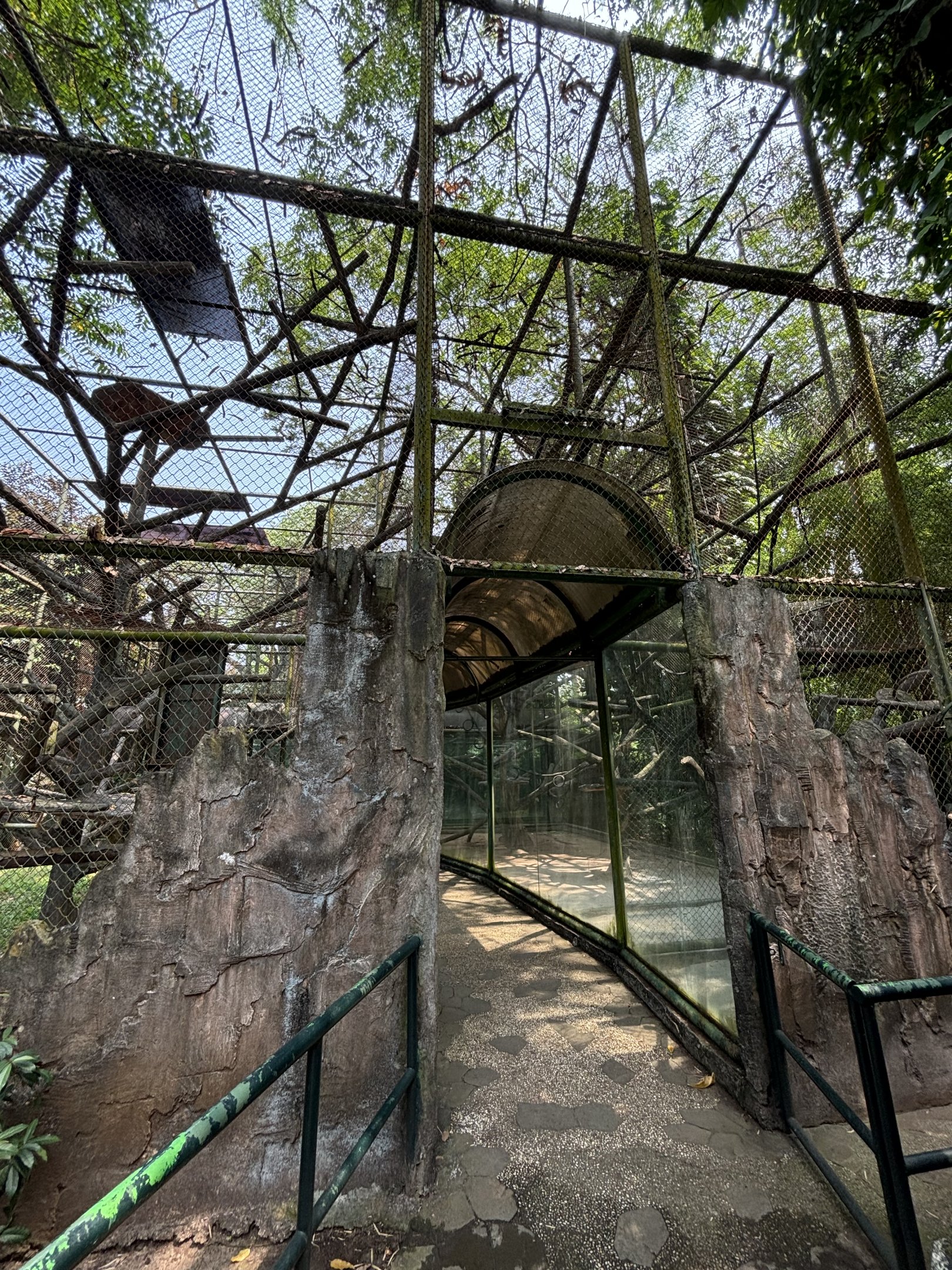 Mitered Surili + Proboscis Monkey Exhibits