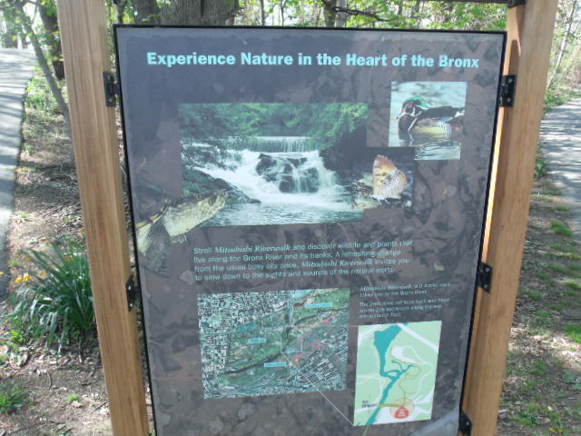 Mitsubishi Riverwalk