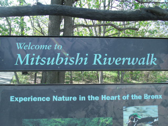 Mitsubishi Riverwalk