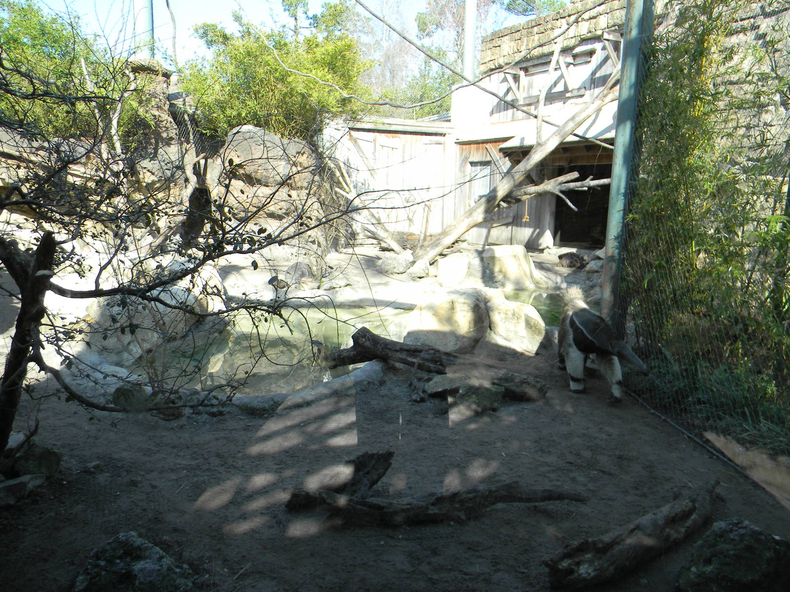 Mix South American animals Exhibit