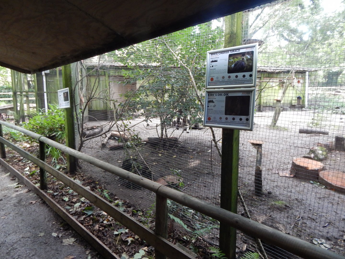 Mixed African Aviary 050925