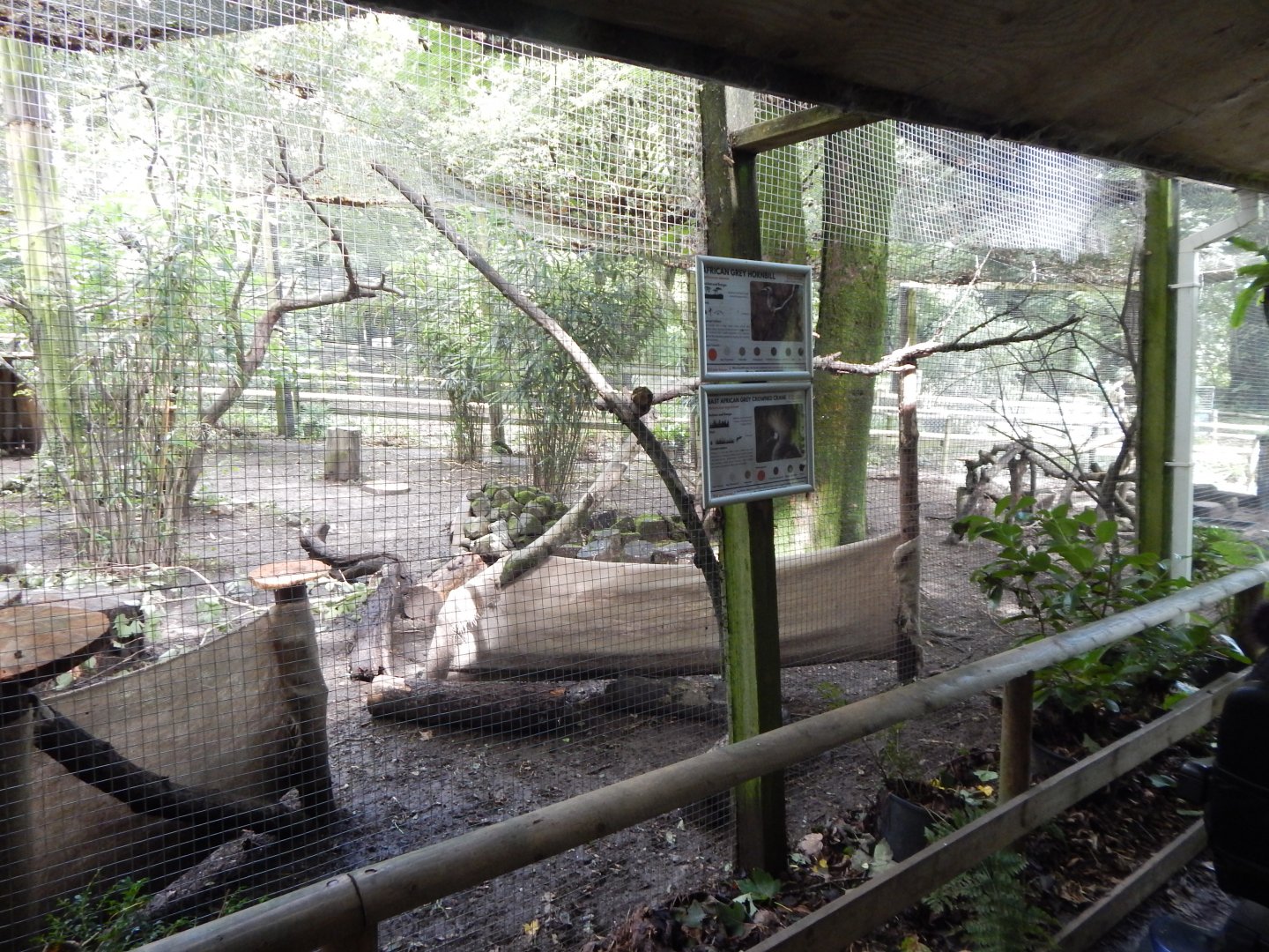 Mixed African Aviary 050925