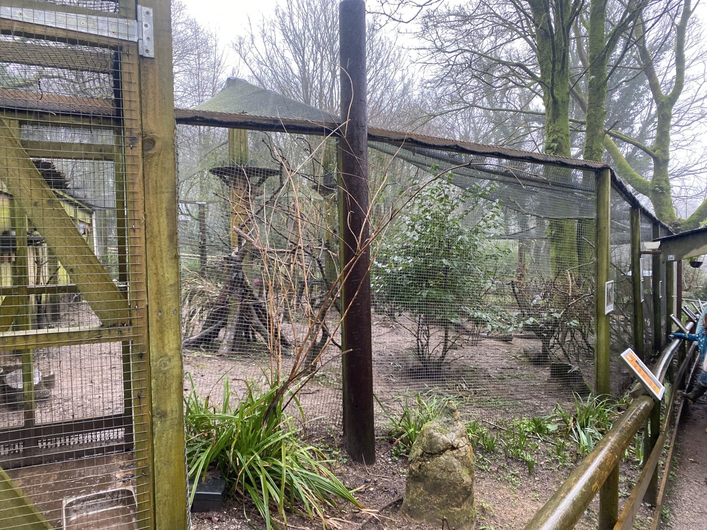 Mixed African aviary 140224