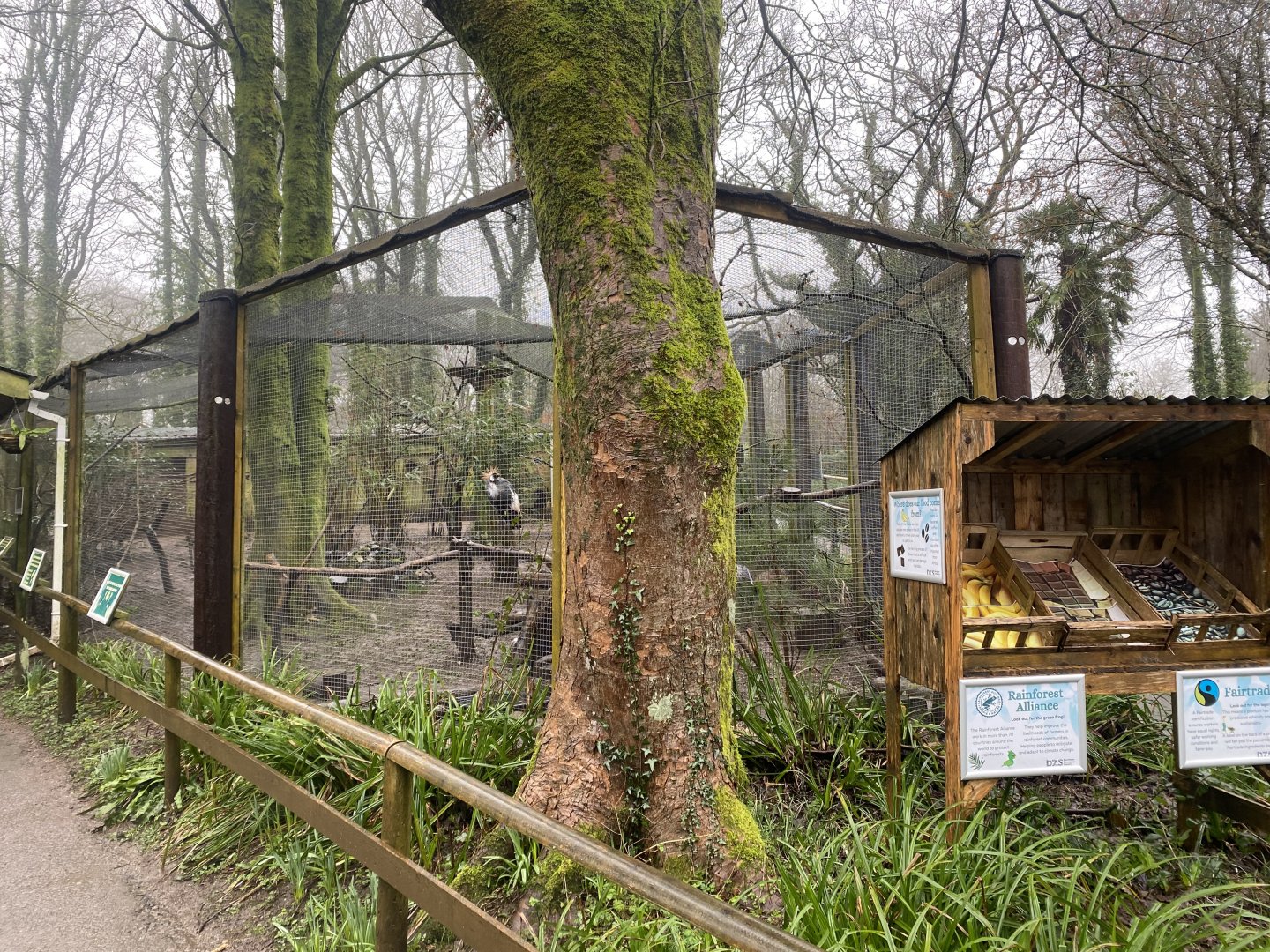 Mixed African aviary 140224