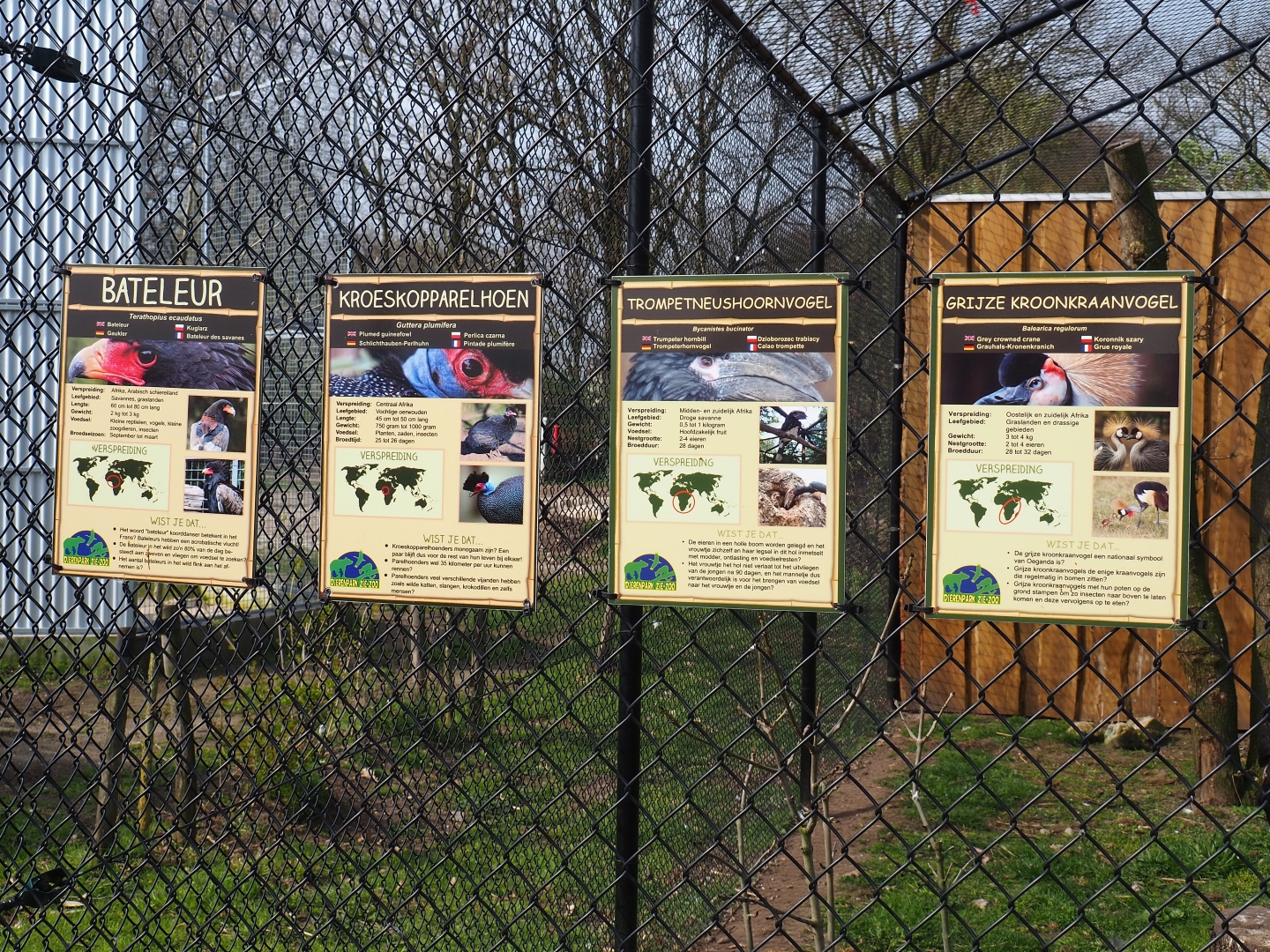 Mixed African aviary signs, 2019-04-06