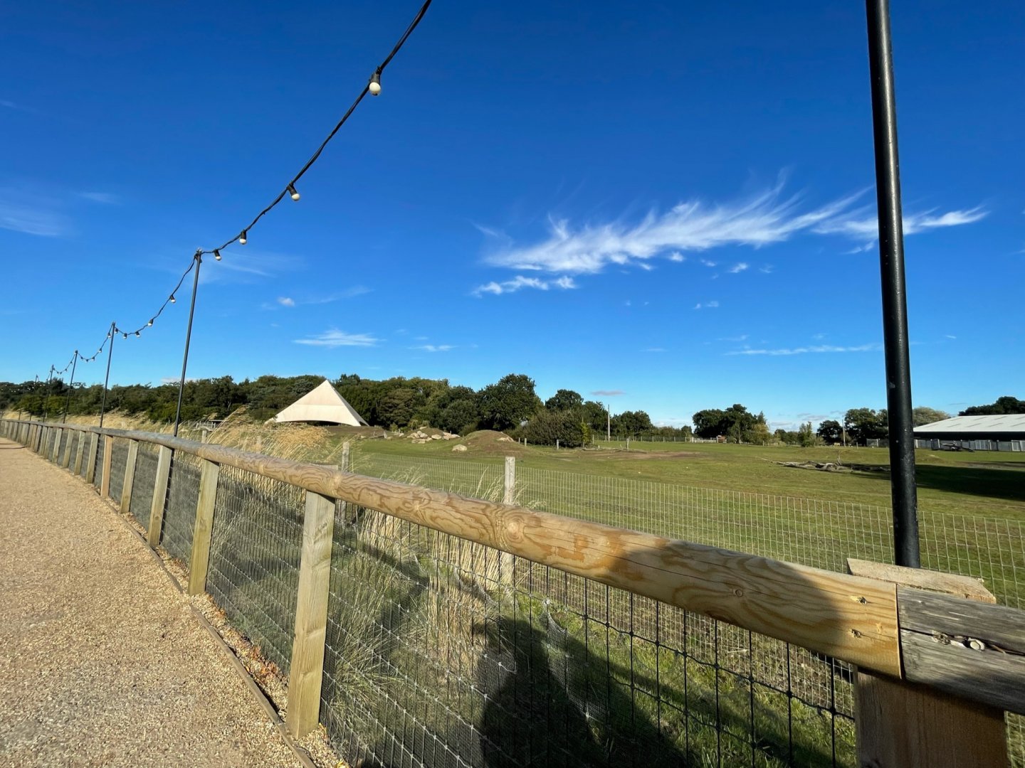 Mixed African Enclosure at Yorkshire Wildlife Park (October 2021)