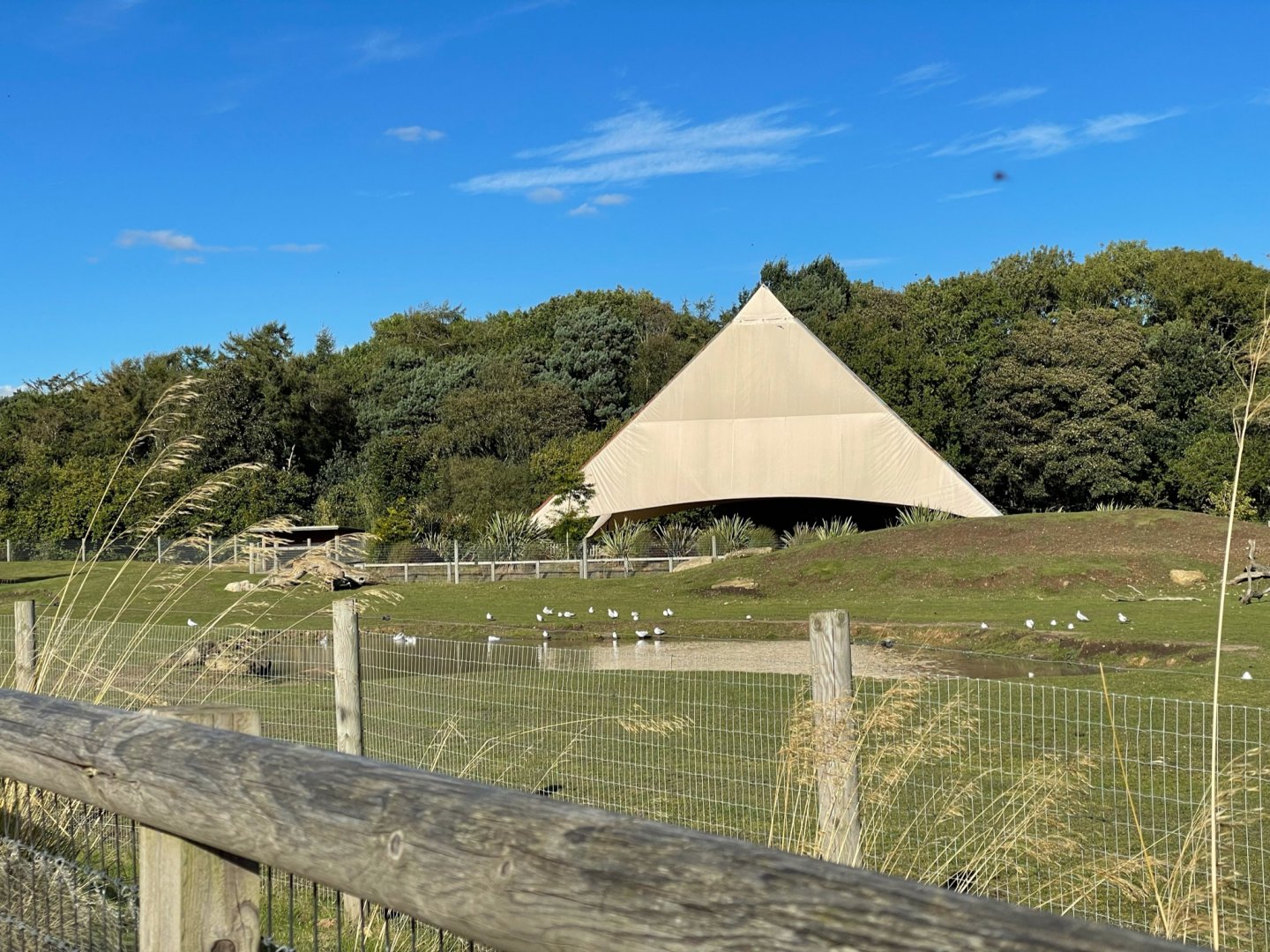 Mixed African Enclosure at Yorkshire Wildlife Park (October 2021)