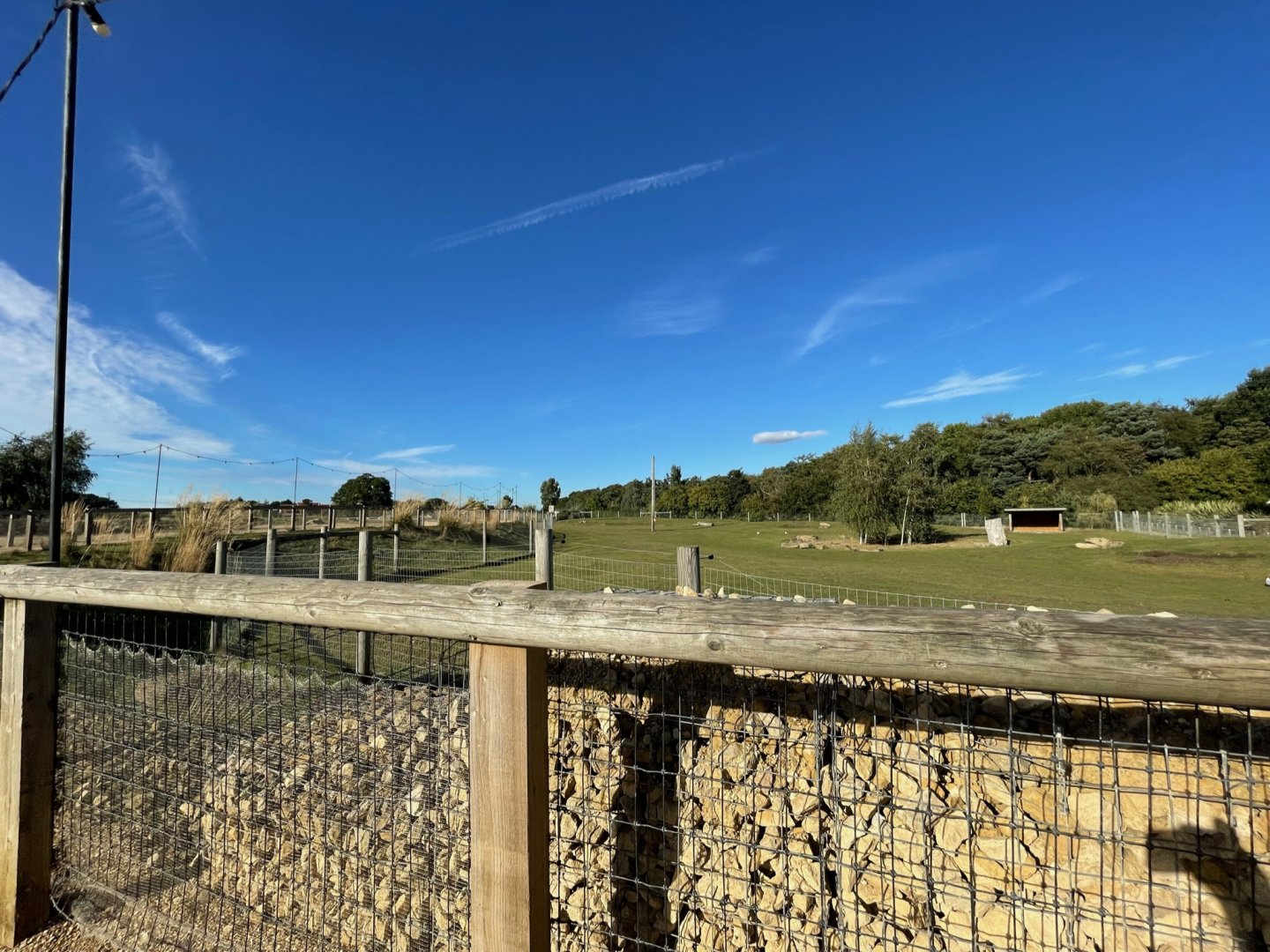 Mixed African Enclosure at Yorkshire Wildlife Park (October 2021)