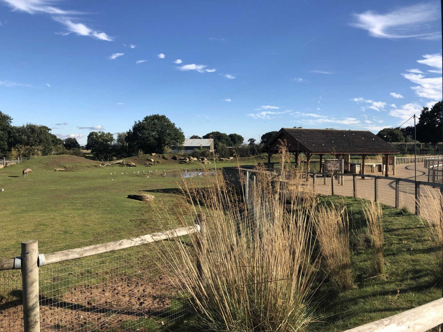 Mixed African Enclosure at Yorkshire Wildlife Park (October 2021)