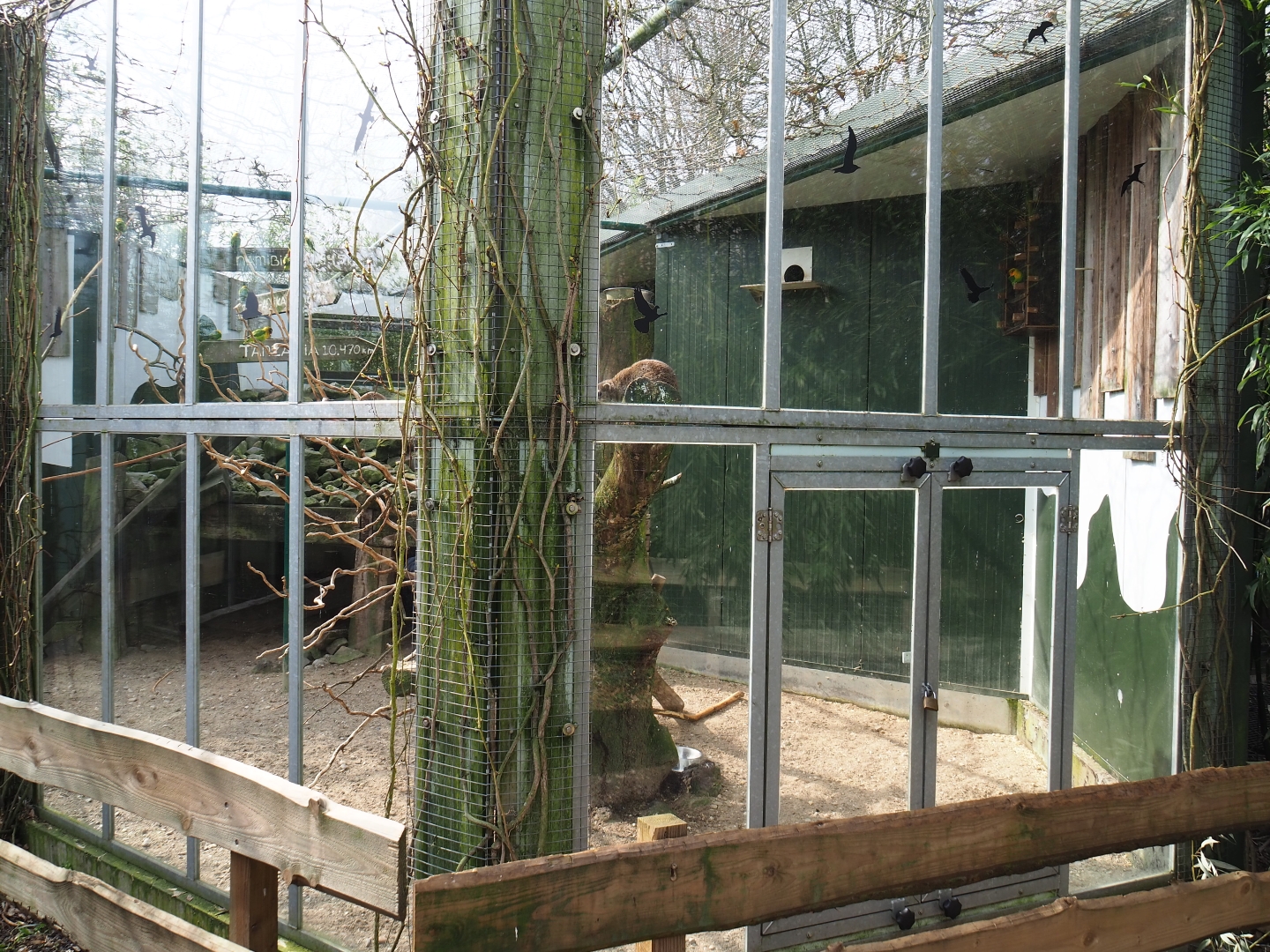 Mixed African exhibit, 2019-04-06