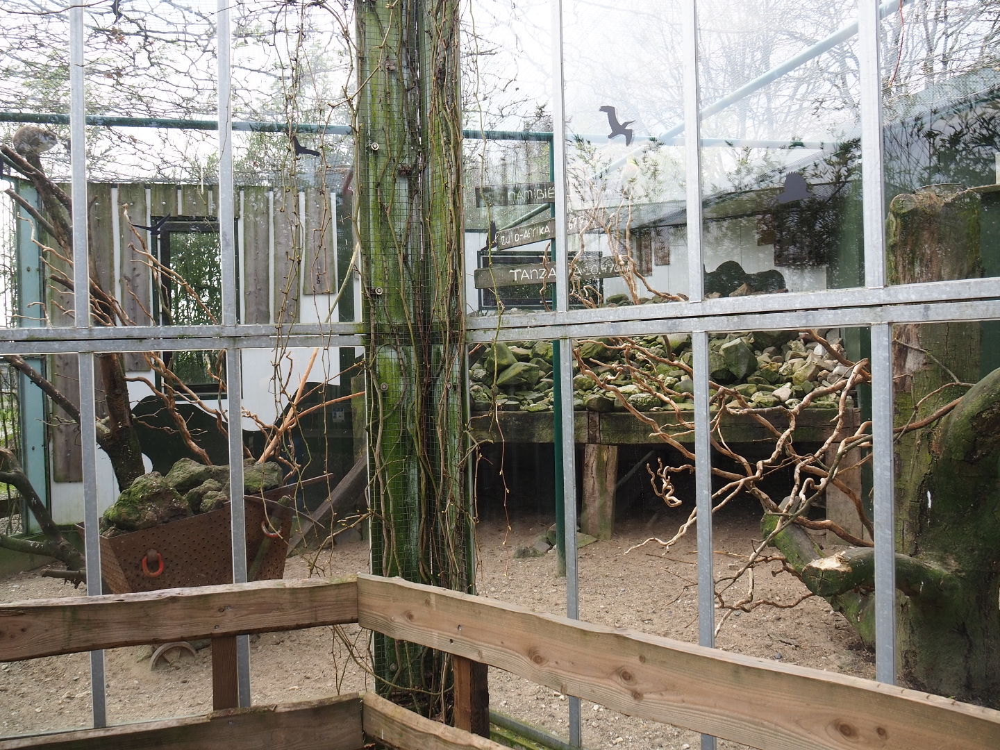 Mixed African exhibit, 2019-04-06