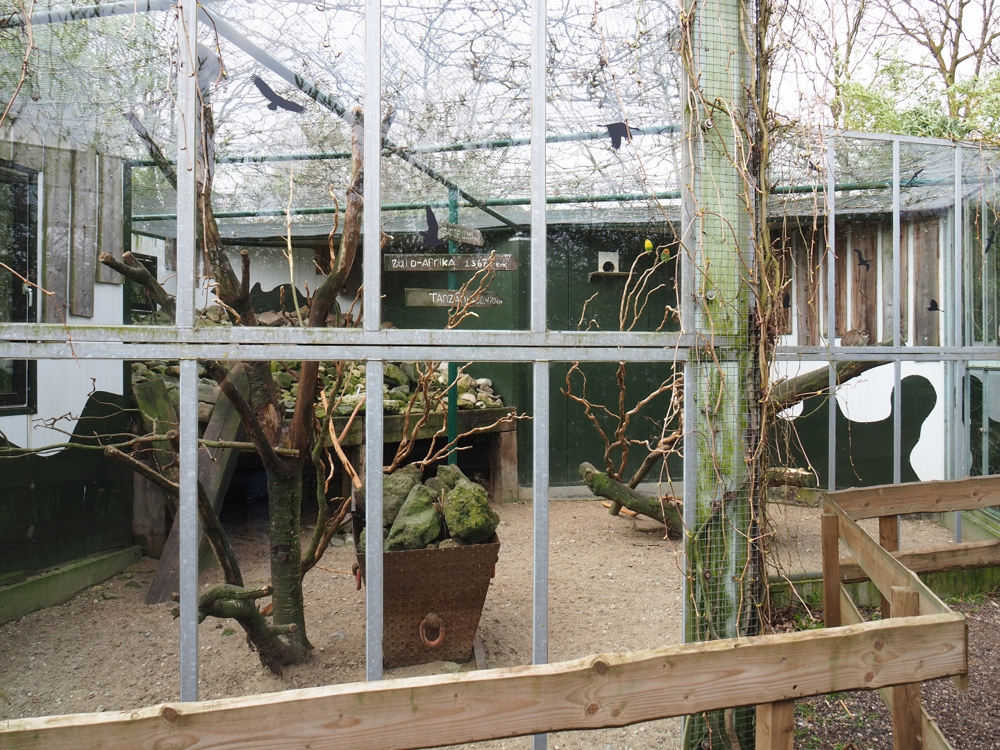 Mixed African exhibit, 2019-04-06