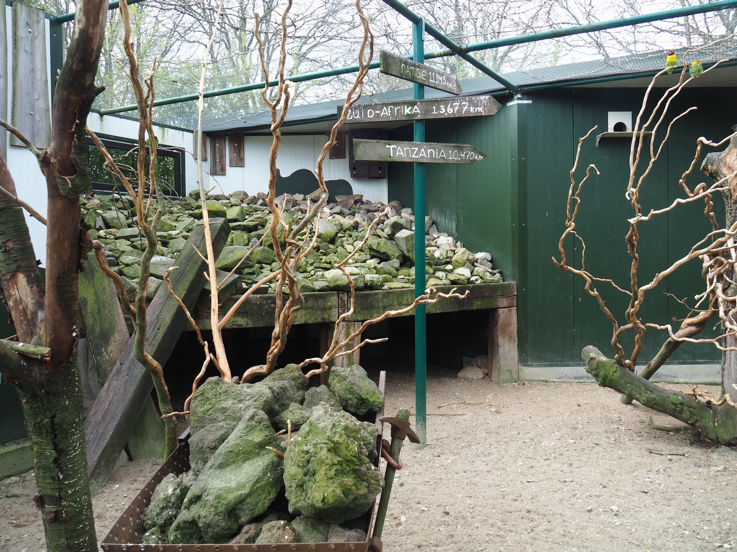 Mixed African exhibit, 2019-04-06