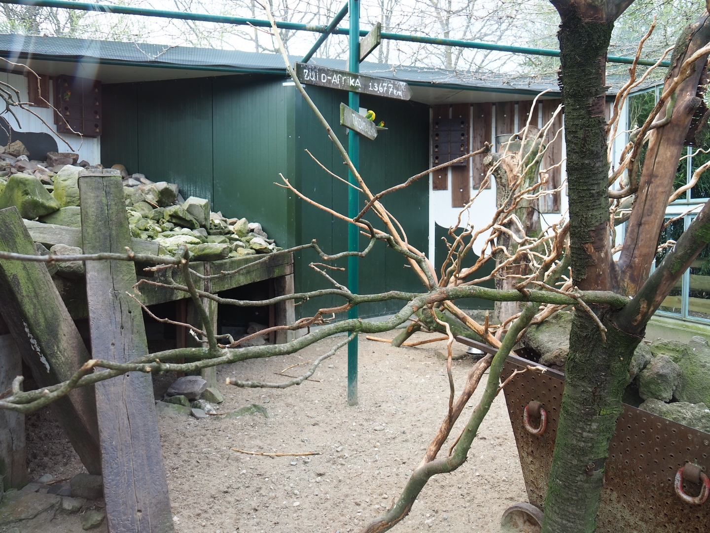 Mixed African exhibit, 2019-04-06