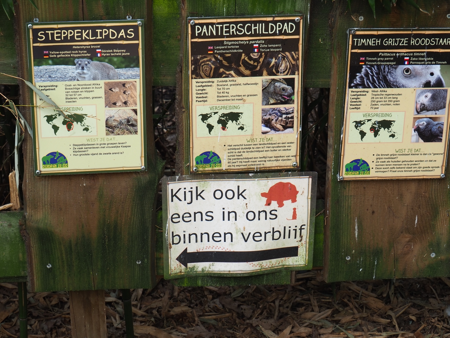Mixed African exhibit signage (1), 2019-04-06