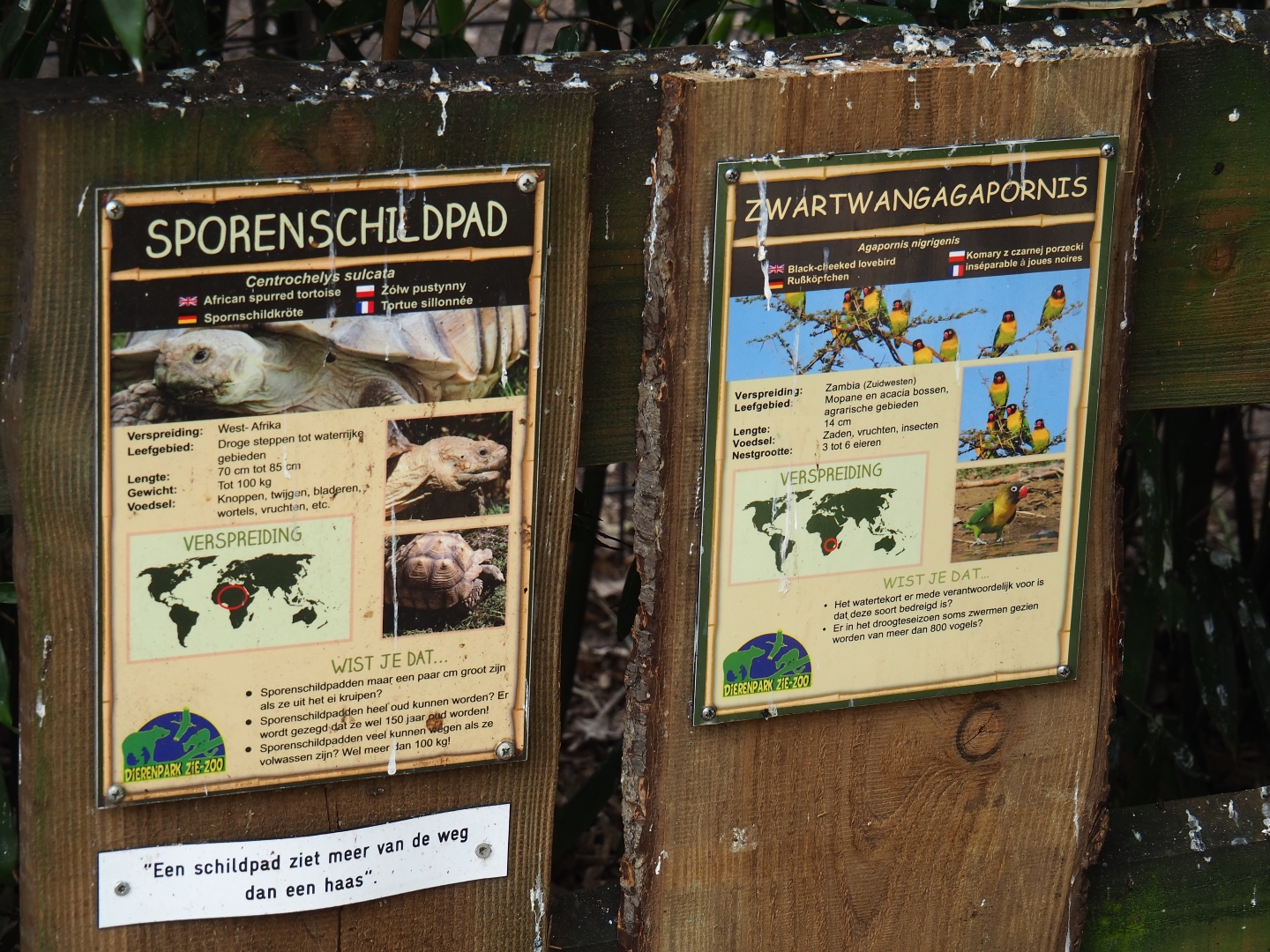 Mixed African exhibit signage (2), 2019-04-06