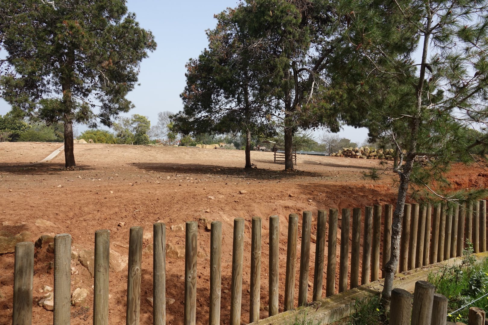 Mixed African Hoofstock Enclosure