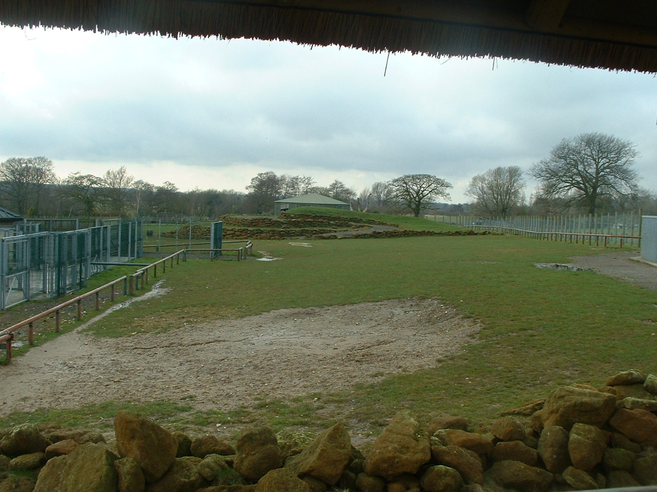 Mixed African Paddock - Africa Alive! 2008