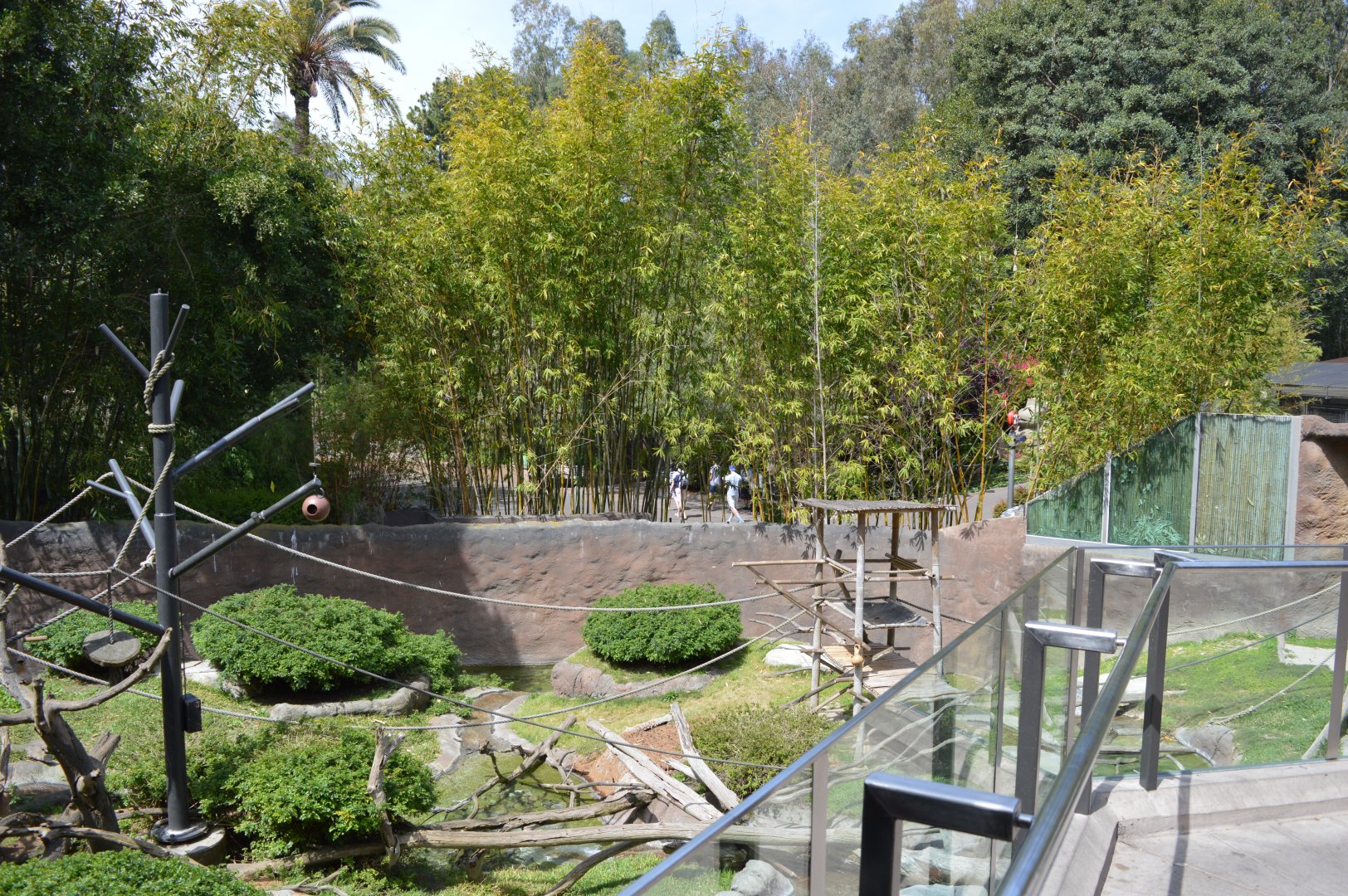 Mixed African Primate Exhibit