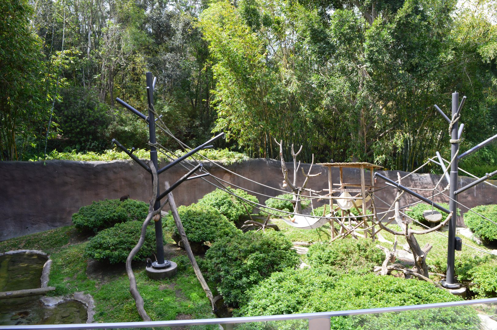 Mixed African Primate/Otter Exhibit