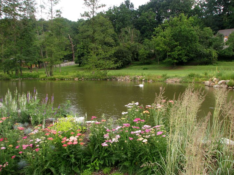 Mixed African savanah