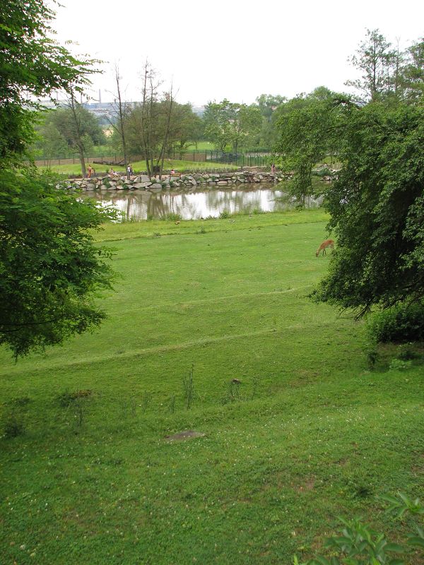 Mixed African savanah