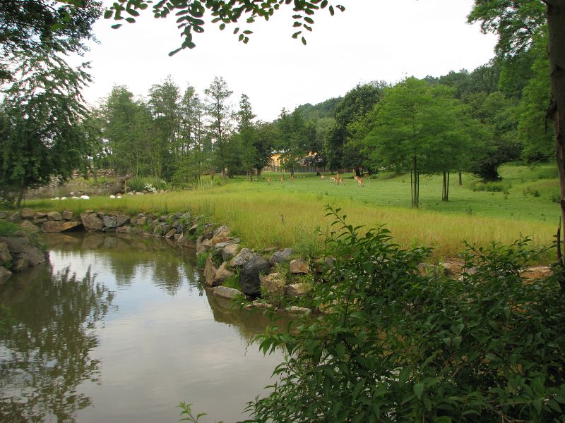 Mixed African savanah