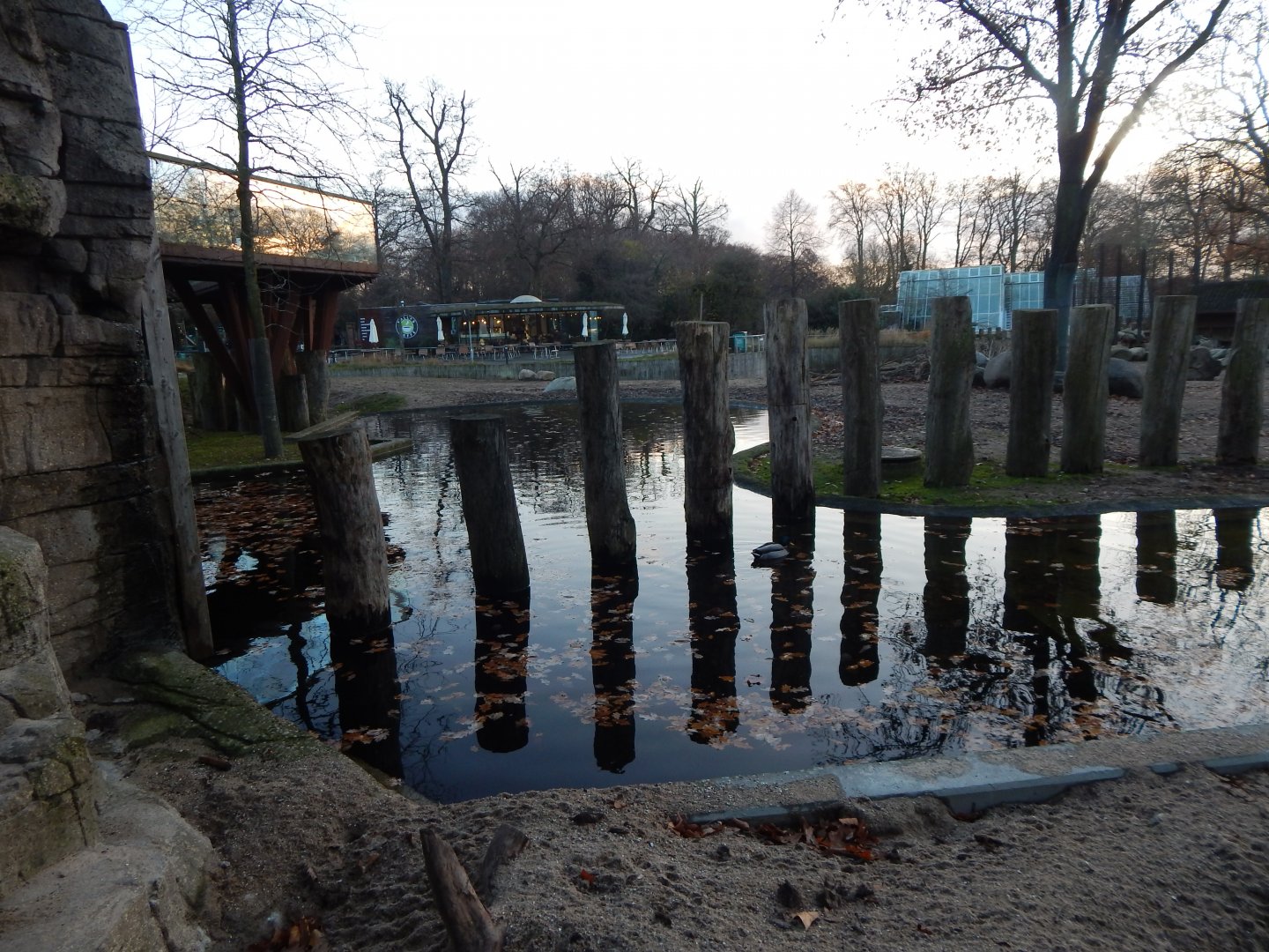 Mixed African Savannah exhibit 261124