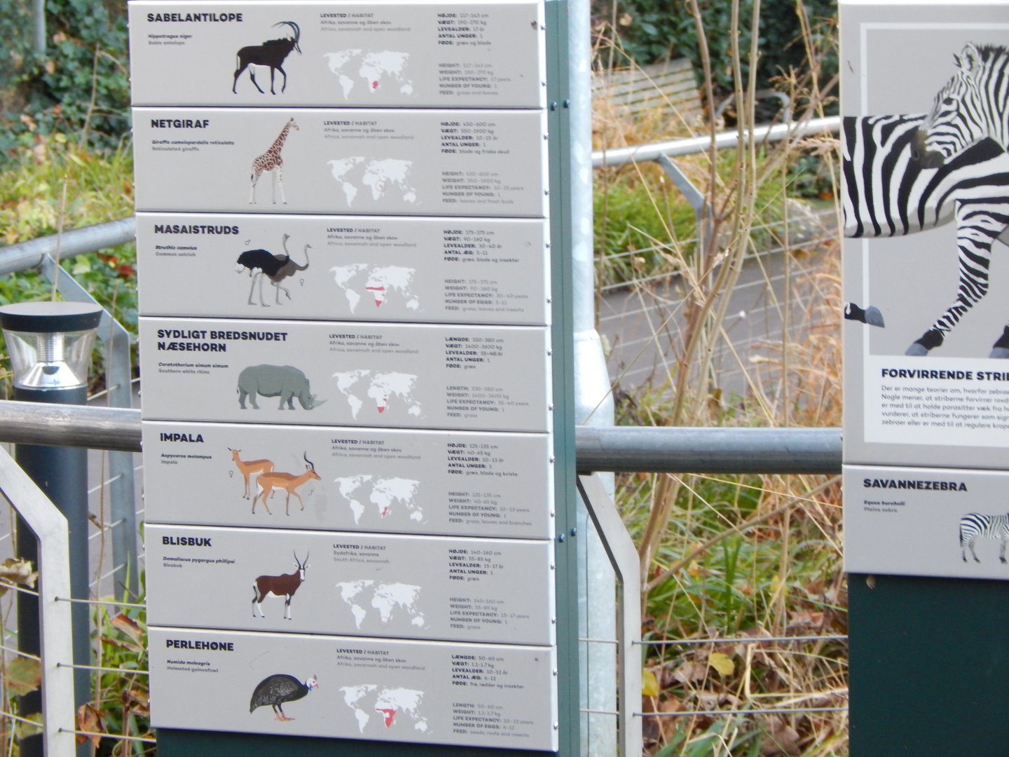 Mixed African Savannah exhibit signage 261124