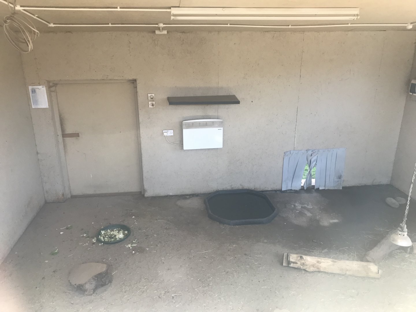 Mixed african species indoors (3)