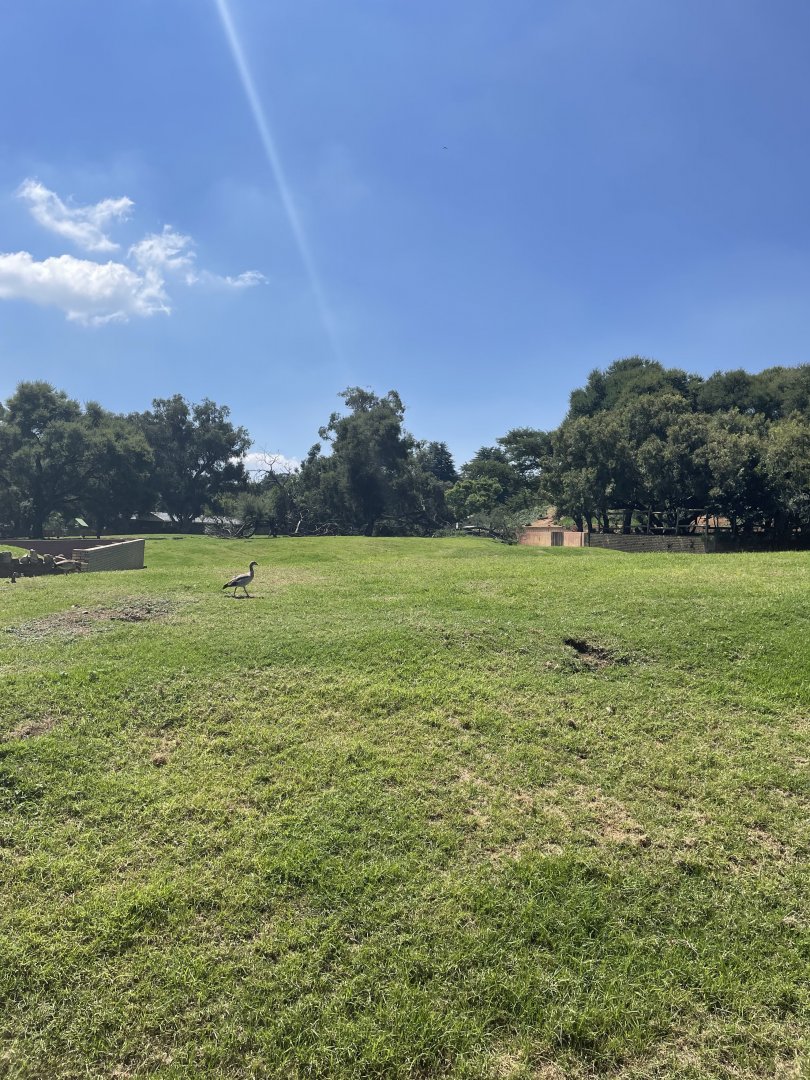 Mixed Antelope Exhibit (Springbok,Gemsbok,Reedbok)