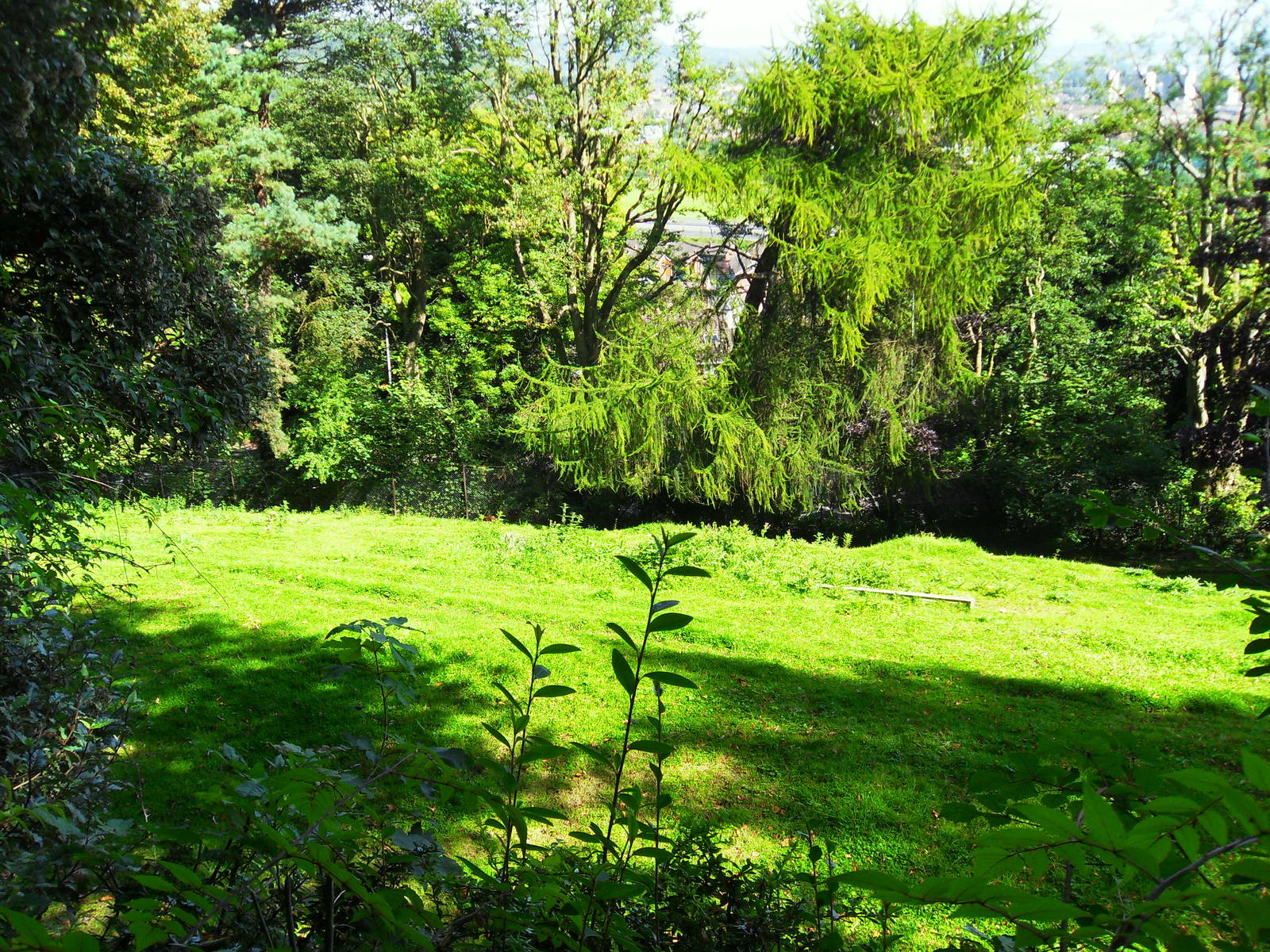 Mixed Antelope Paddock