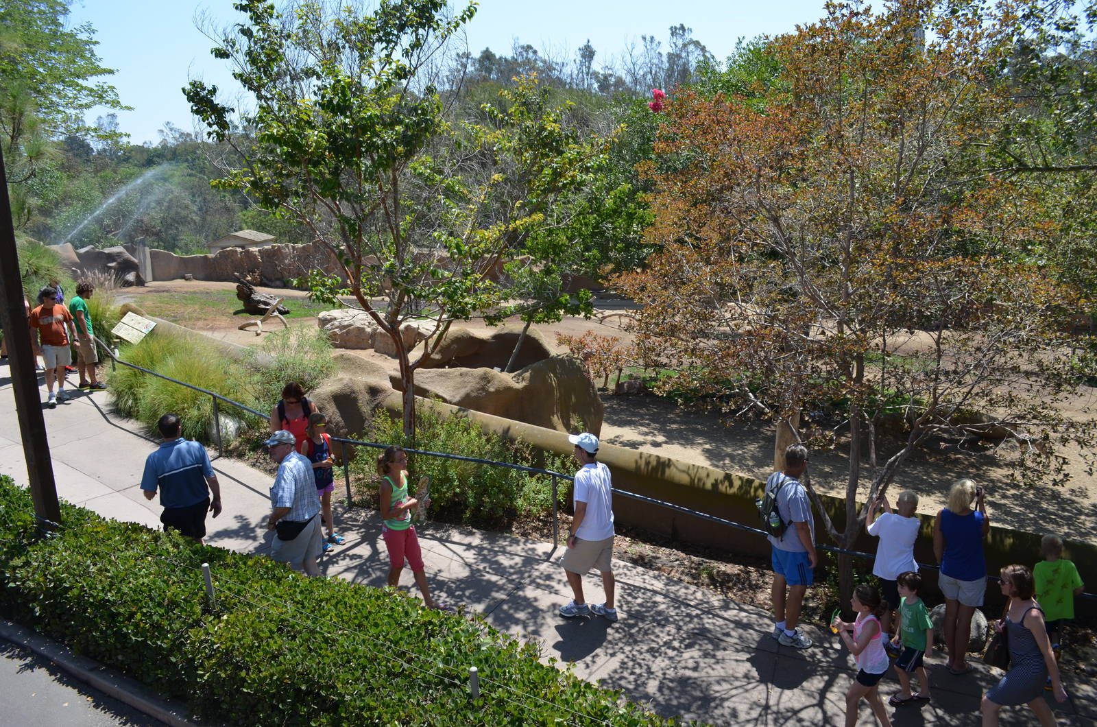 Mixed Antelope Species Yard