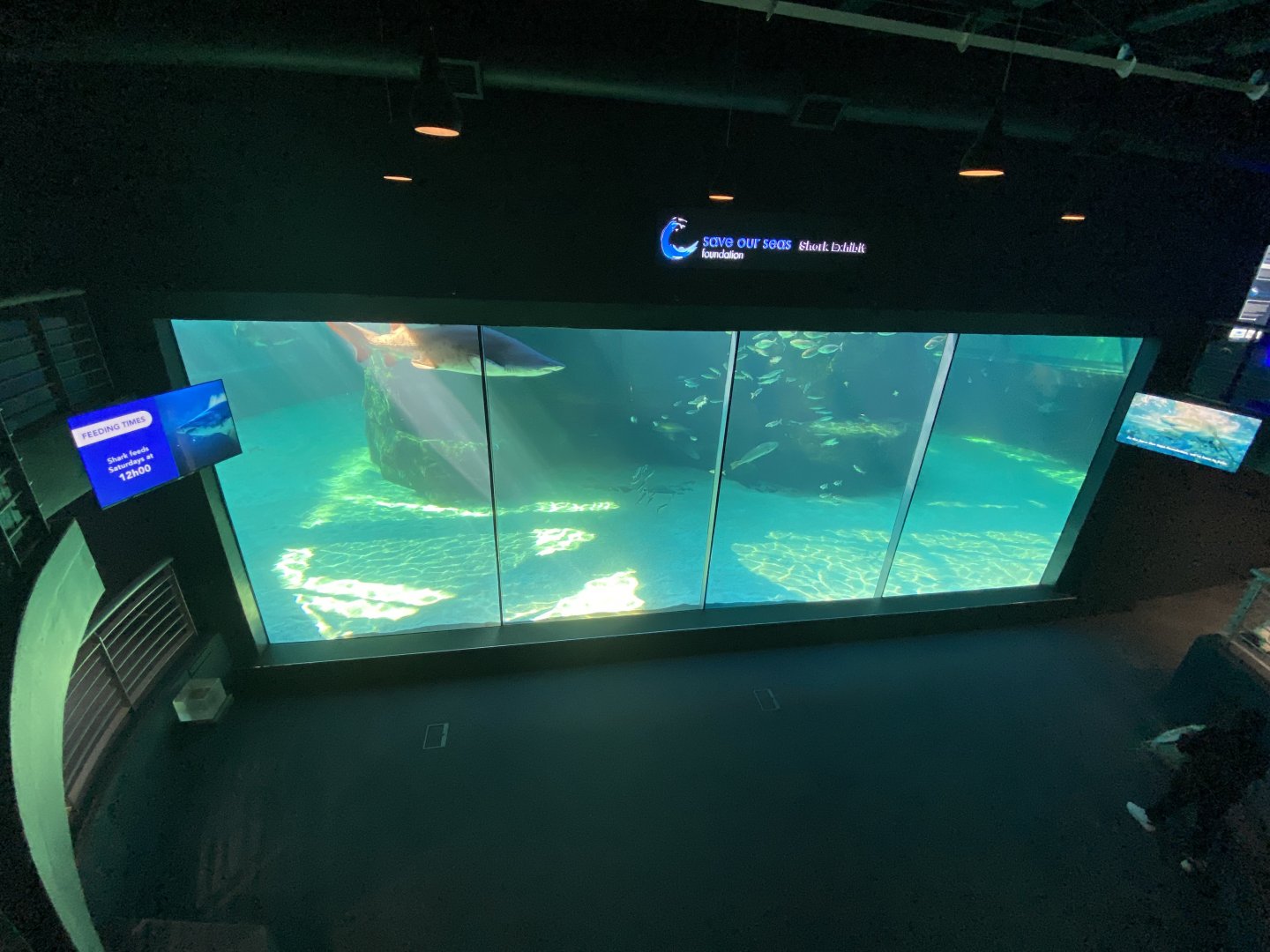 Mixed aquarium 9
